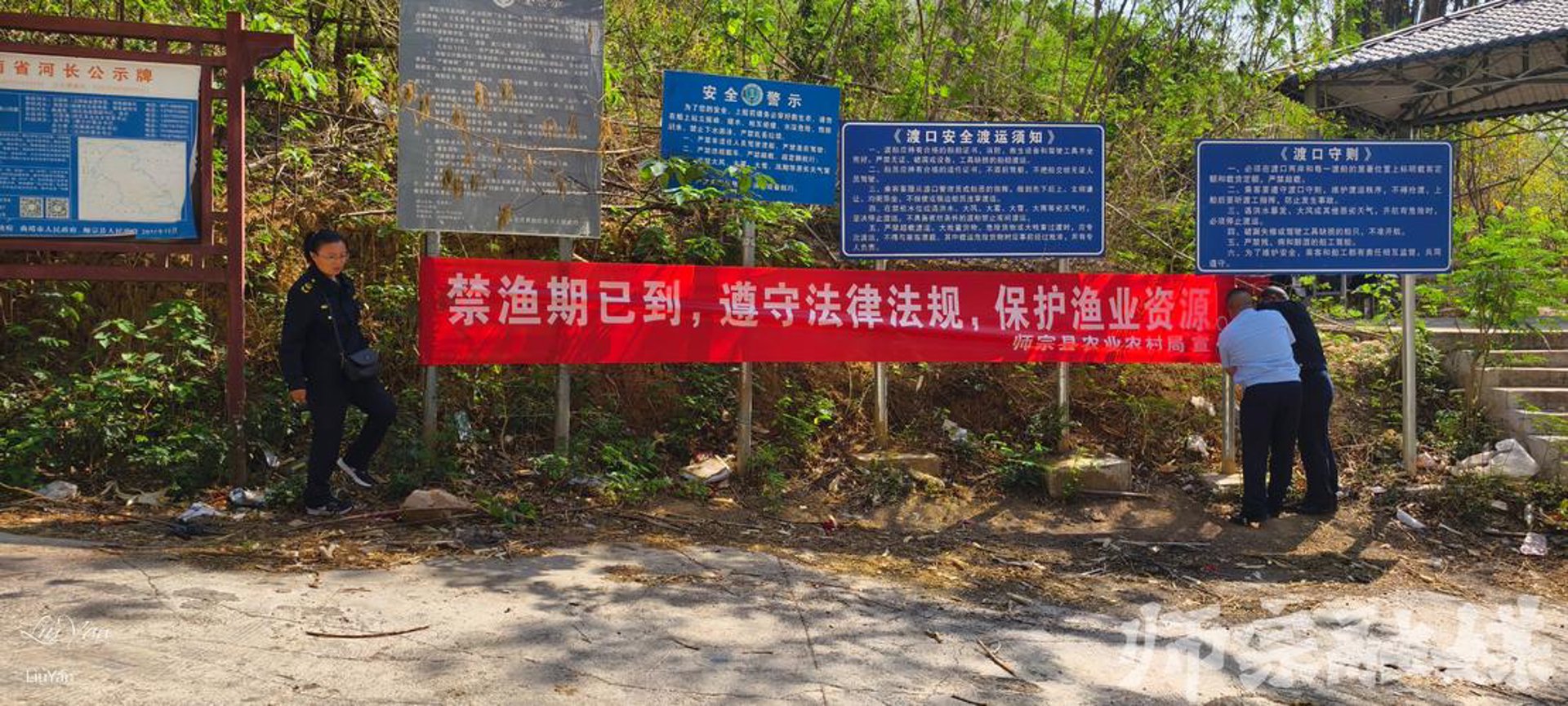 司前村农业