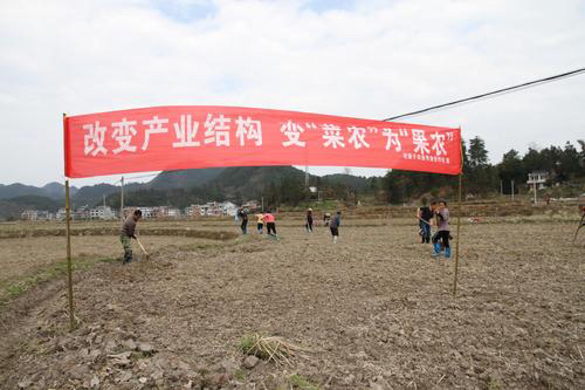 司前村农业
